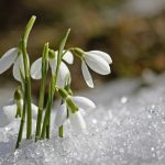 Вночі буде мороз, а вдень – до +15°: погода в Україні