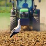 Аграрії Прикарпаття продовжують посів ярих культур