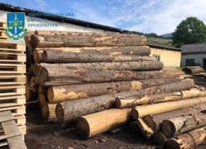 На Прикарпатті виявили незаконну порубку лісу на заповідній території