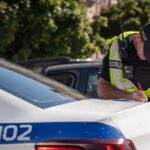 У Франківську водій збив собаку та втік: поліція встановлює особу порушника